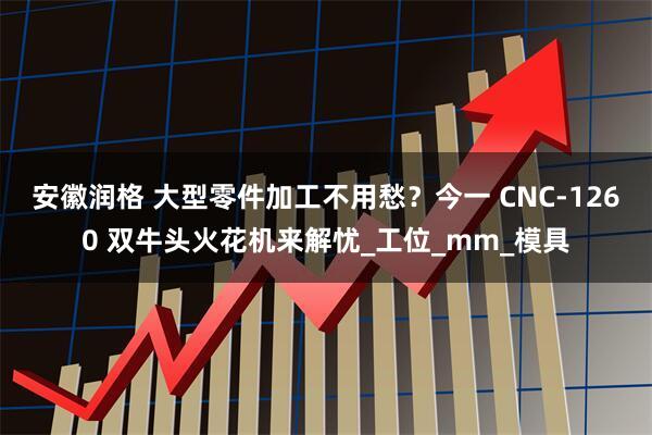安徽润格 大型零件加工不用愁？今一 CNC-1260 双牛头火花机来解忧_工位_mm_模具