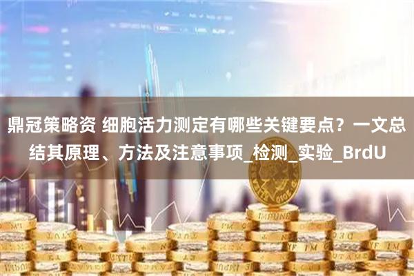 鼎冠策略资 细胞活力测定有哪些关键要点？一文总结其原理、方法及注意事项_检测_实验_BrdU