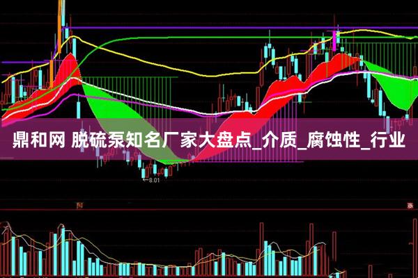 鼎和网 脱硫泵知名厂家大盘点_介质_腐蚀性_行业