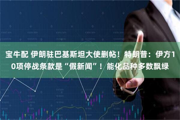 宝牛配 伊朗驻巴基斯坦大使删帖！特朗普：伊方10项停战条款是“假新闻”！能化品种多数飘绿
