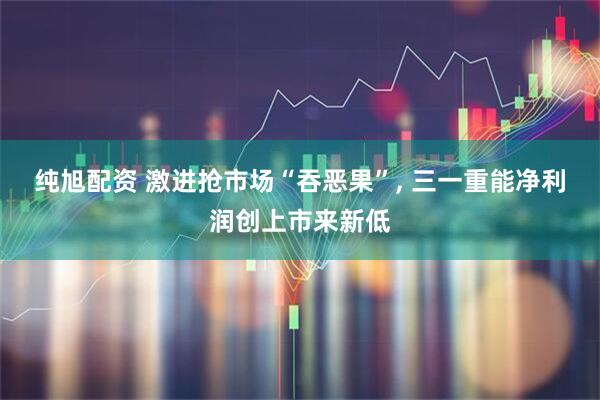 纯旭配资 激进抢市场“吞恶果”, 三一重能净利润创上市来新低