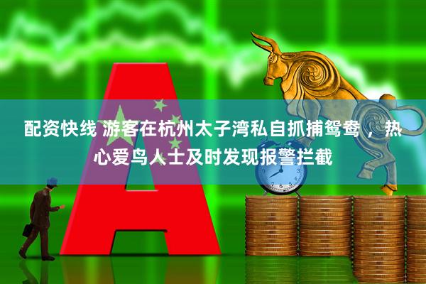配资快线 游客在杭州太子湾私自抓捕鸳鸯 ，热心爱鸟人士及时发现报警拦截