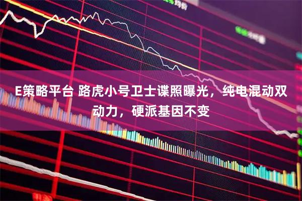 E策略平台 路虎小号卫士谍照曝光，纯电混动双动力，硬派基因不变